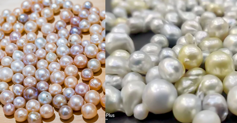 Difference Between Freshwater and Saltwater Pearls